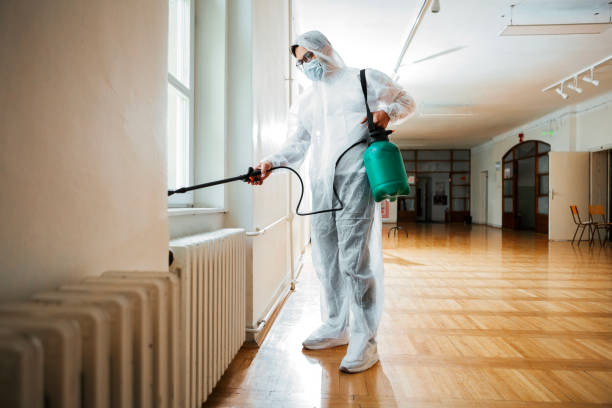 Best Emergency Pest Control  in St Ignace, MI